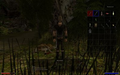 ������ 2